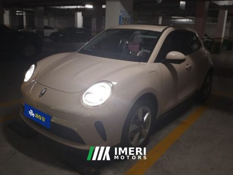 2025 Ora Great Wall Good Cat 430km Prestigious Edition - ავტომობილი ჩინეთიდან