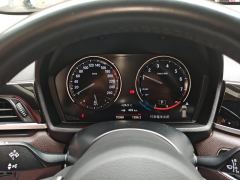 BMW X1 sDrive25Li Premier - photo 20