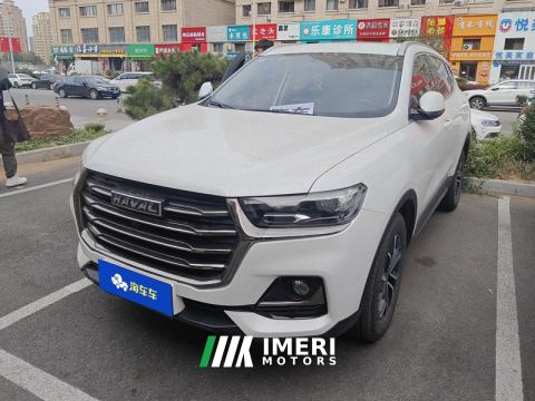 2021 Haval H6 Guochao Edition 1.5T 2WD Urban Edition - car from China