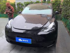 Tesla Model Y 545km Rear-Wheel Drive Edition - ფოტო 1