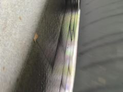 Tesla Model Y 545km Rear-Wheel Drive Edition - ფოტო 11