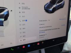 Tesla Model Y 545km Rear-Wheel Drive Edition - ფოტო 20