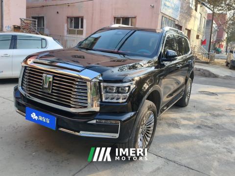2023 Tank 500 New Energy 2.0T Hi4-T - ავტომობილი ჩინეთიდან