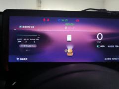 Baojun Yep 303km Supreme Edition - photo 20