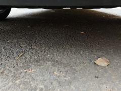 Buick Century 2.0T Edition 6 - фото 8