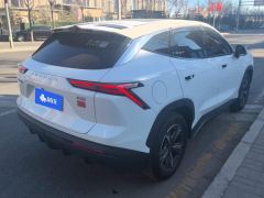 Jetour Dasheng 1.5T PRO - photo 2