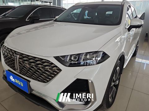 2022 Great Wall Wei brand latte 1.5T DHT