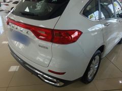 Haval M6 PLUS 1.5T Version - ფოტო 2