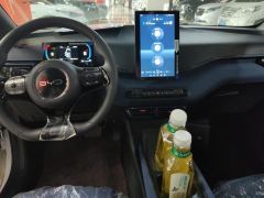 BYD Seagull 305km Vitality Edition - ფოტო 16