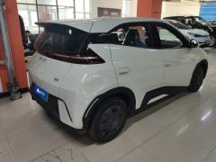 BYD Seagull 305km Vitality Edition - ფოტო 2