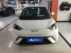 BYD Seagull 305km Vitality Edition - ფოტო 3