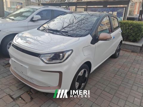 2023 Sehol Fairy Sihao Flower Anniversary Edition 301km sunflower 36kW 5-seater - car from China