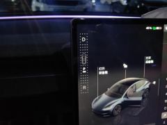 Tesla Model 3 713km Long Range AWD - ფოტო 19