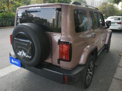 Tank 300 City Edition 2.0T Essential - ფოტო 2