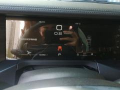 Tank 300 City Edition 2.0T Essential - ფოტო 20