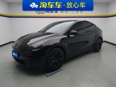 Tesla Model Y 545km Rear-Wheel Drive Edition - фото 1