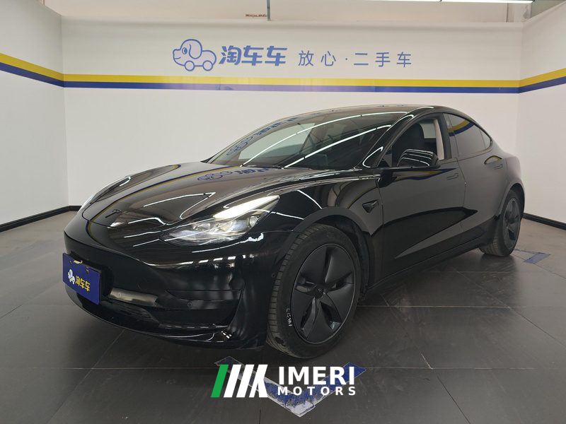 Tesla Model 3 Standard Range Edition 3D6