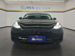 Tesla Model 3 Standard Range Edition 3D6 - ფოტო 3