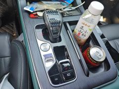 GAC GS8 2.0T 2WDLuxury Edition 6 - фото 19