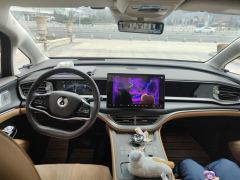 Denza D9 DM-i 1.5T 190km AWD Version 7 - ფოტო 16