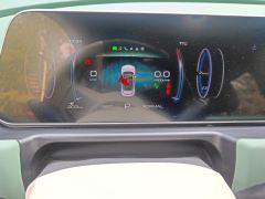 Ora Great Wall Good Cat 401km Version 135kW - photo 20