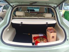 Ora Great Wall Good Cat 401km Version 135kW - photo 7