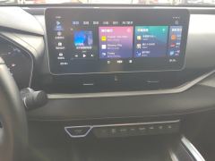 Geely Xingui Xingrui 2.0T Luxury Edition - ფოტო 17
