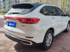 Haval M6 PLUS 1.5T Luxury Version - photo 2