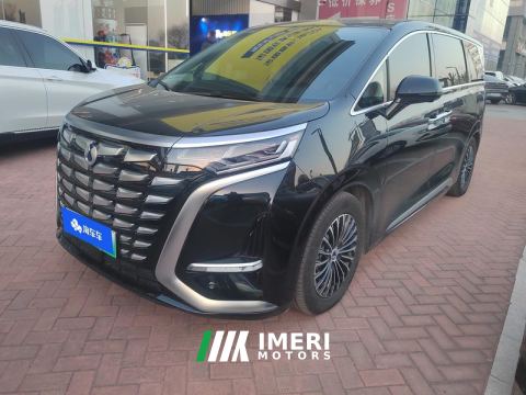 2024 Denza D9 DM-i 1.5T 190km AWDPremium Version 7 - car from China