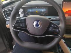 Denza D9 DM-i 1.5T 190km AWDPremium Version 7 - ფოტო 18