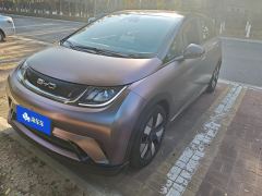BYD Dolphin 401km Knight Edition - фото 1