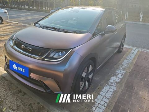 2023 BYD Dolphin 401km Knight Edition - ავტომობილი ჩინეთიდან