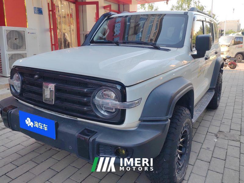 Tank 300 Off-Road Edition 2.0T Conqueror - ავტომობილი ჩინეთიდან