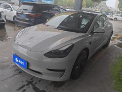 Tesla Model 3 556km Rear-Wheel Drive Edition - фото 1