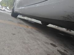Tesla Model 3 556km Rear-Wheel Drive Edition - фото 10