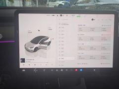 Tesla Model 3 556km Rear-Wheel Drive Edition - фото 20