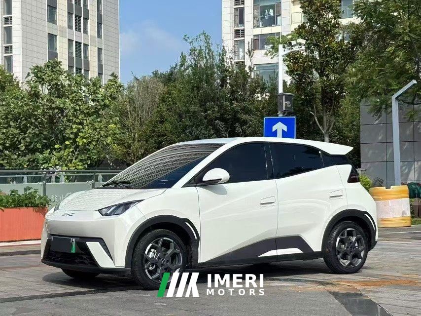 BYD Seagull Smart Driving Edition 305km Free Version - ავტომობილი ჩინეთიდან