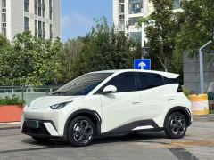BYD Seagull Smart Driving Edition 305km Free Version - ფოტო 1