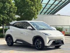 BYD Seagull Smart Driving Edition 305km Free Version - ფოტო 3