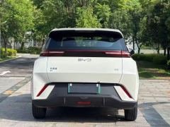 BYD Seagull Smart Driving Edition 305km Free Version - ფოტო 8