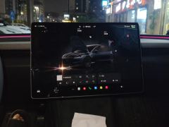 Tesla Model 3 606km Rear-Wheel Drive Edition - фото 17