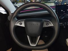 Tesla Model 3 606km Rear-Wheel Drive Edition - фото 18