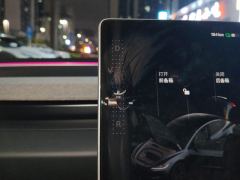 Tesla Model 3 606km Rear-Wheel Drive Edition - фото 19