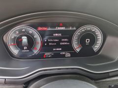 Audi A4( imported ) A4 45TFSI allroad quattro Edition - photo 20