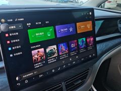 Denza D9 DM-i 1040 Premium - ფოტო 17