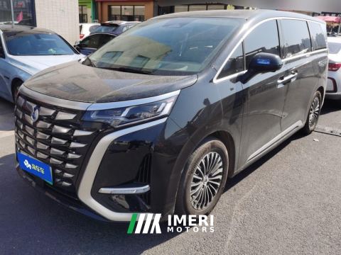2022 Denza D9 DM-i 1.5T 180km AWD Version 7 - ავტომობილი ჩინეთიდან