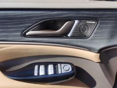 Denza D9 DM-i 1.5T 180km AWD Version 7 - ფოტო 13