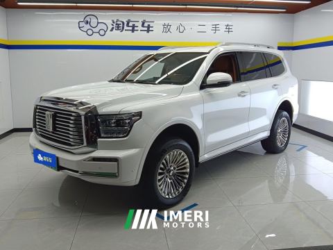 2023 Tank 500 New Energy 2.0T Hi4-T - ავტომობილი ჩინეთიდან