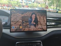 BYD Tang DM-i 1.5T 112KM Precursor Honorable Type - ფოტო 17