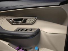Dongfeng Haoji 1.5T Premium Version - photo 13
